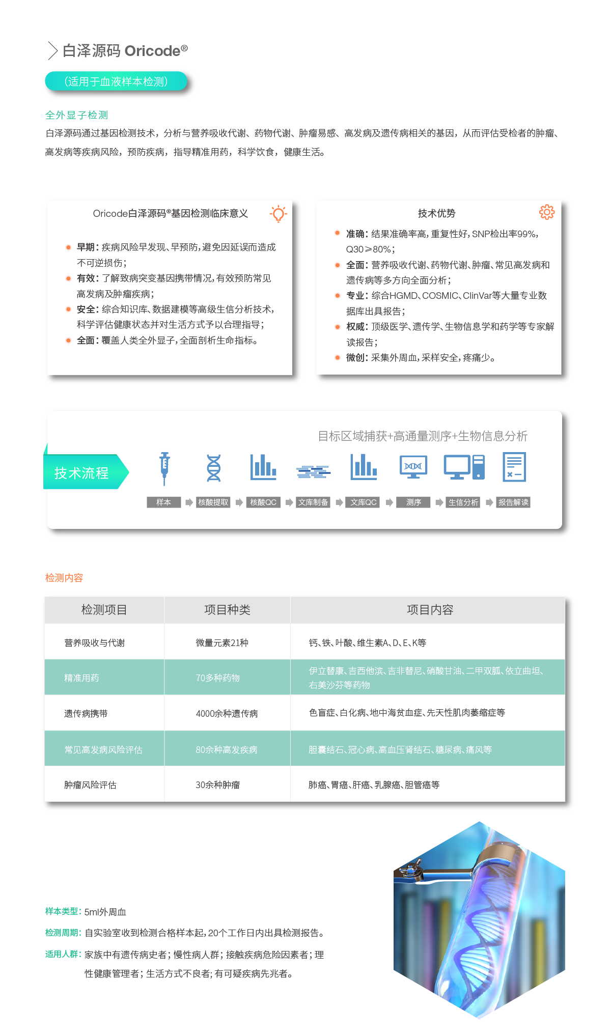 白澤源碼Oricode.png